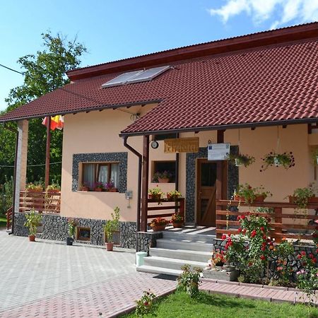 Arnota Villa Costesti  Dış mekan fotoğraf