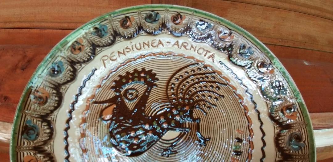 Arnota Villa Costesti  Dış mekan fotoğraf