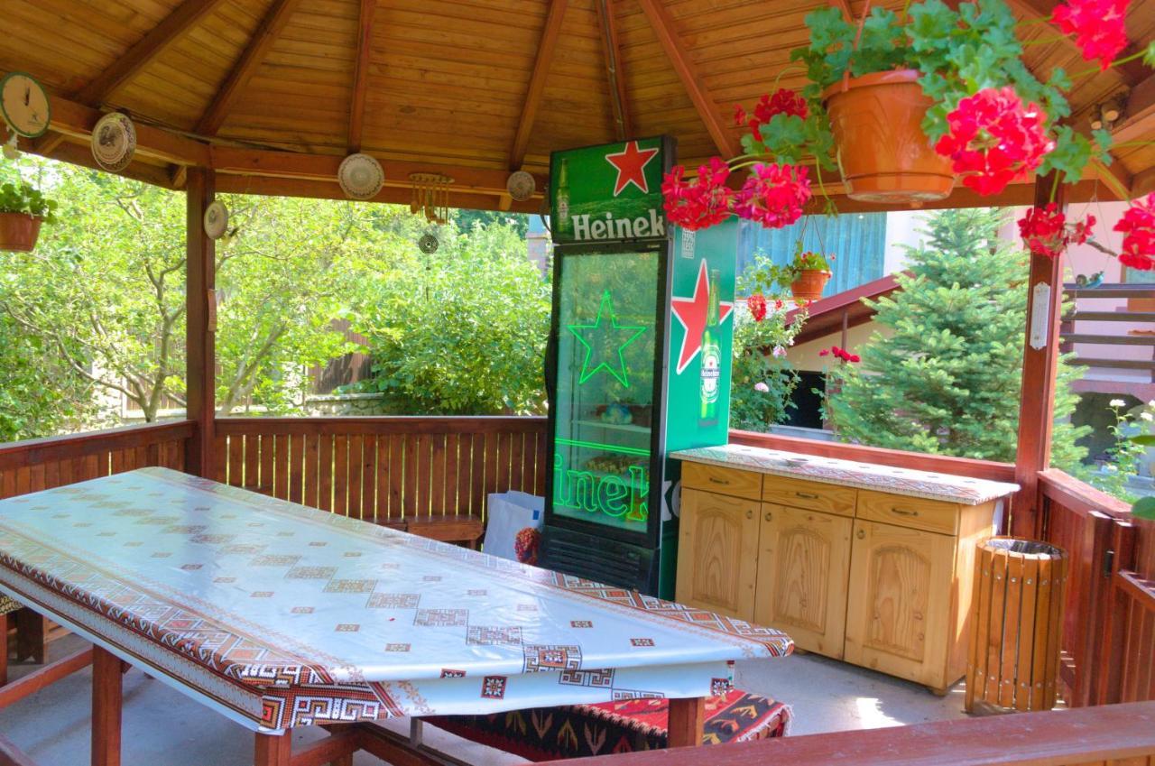 Arnota Villa Costesti  Dış mekan fotoğraf