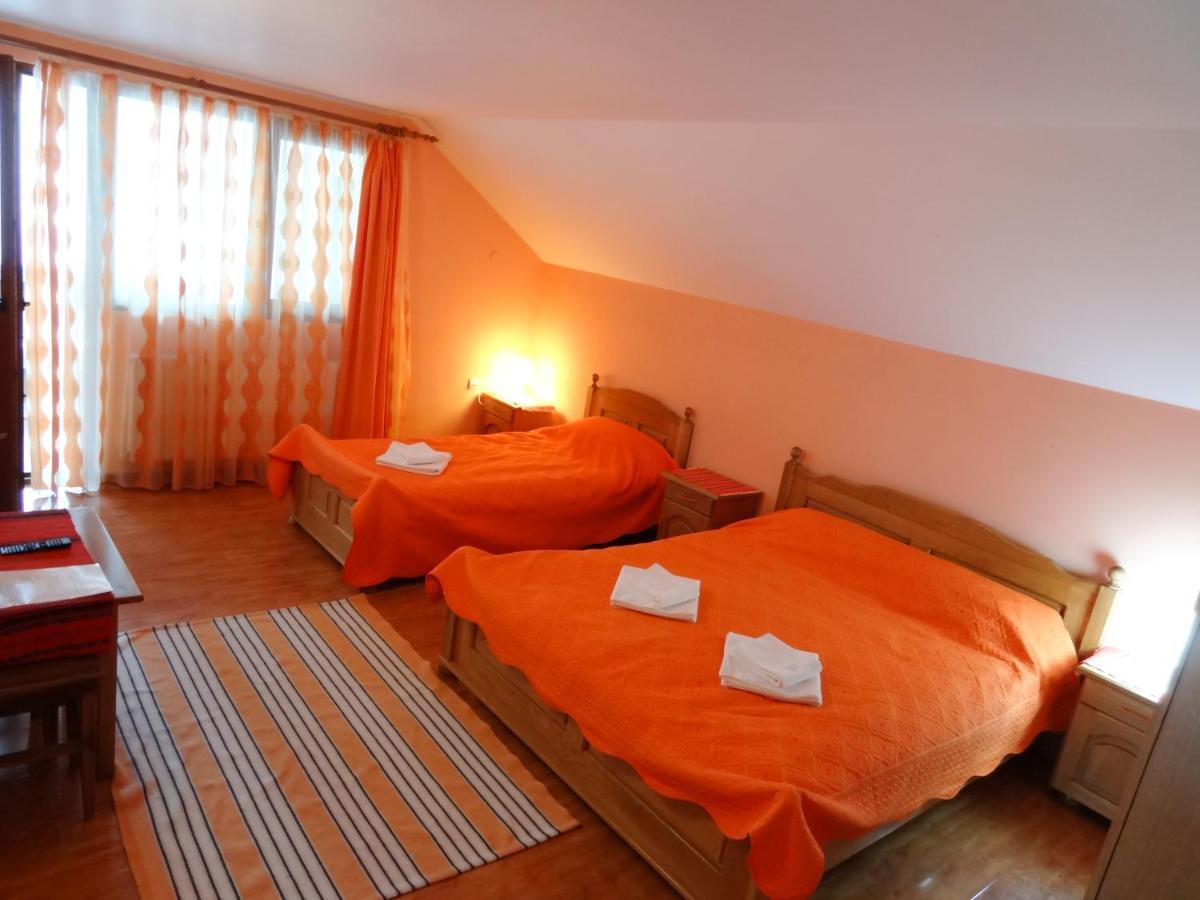 Arnota Villa Costesti  Dış mekan fotoğraf