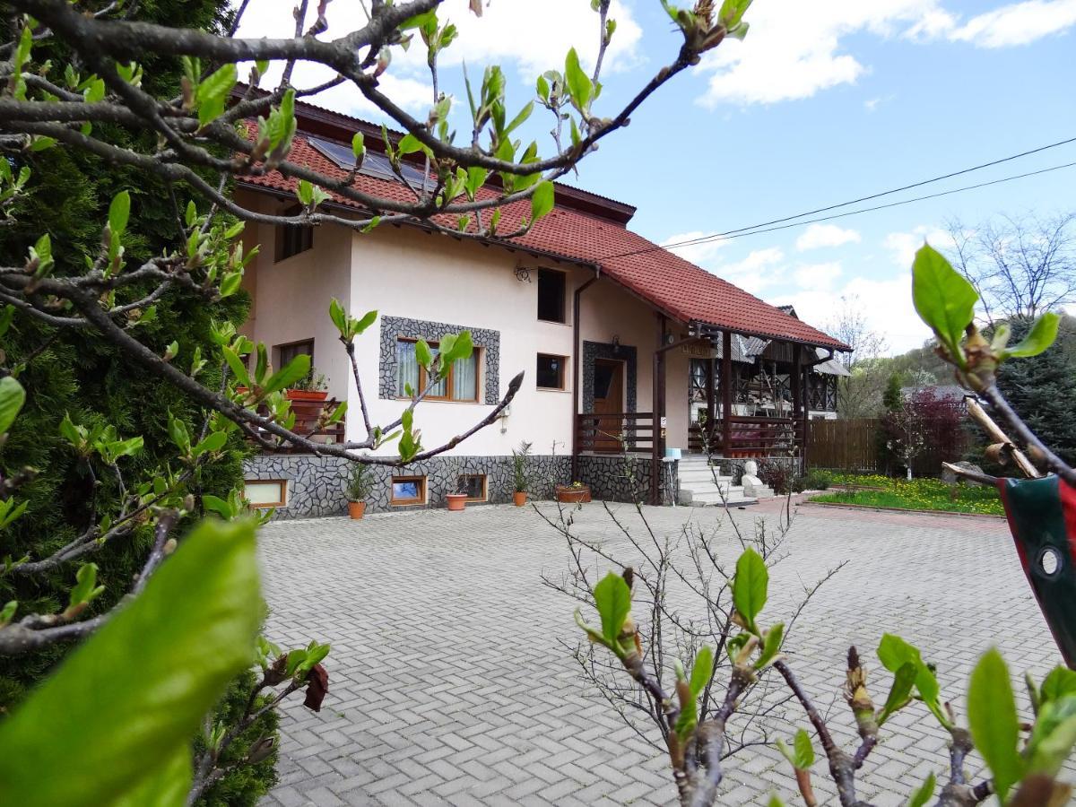 Arnota Villa Costesti  Dış mekan fotoğraf
