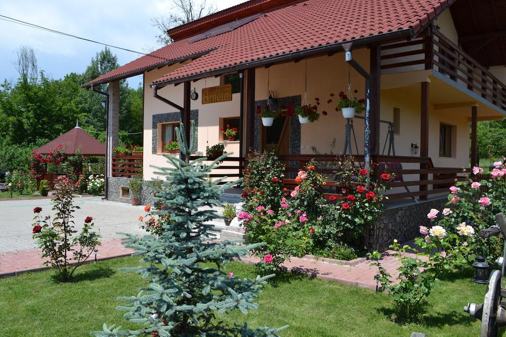 Arnota Villa Costesti  Dış mekan fotoğraf
