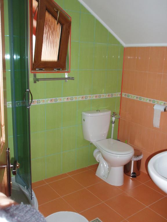 Arnota Villa Costesti  Oda fotoğraf