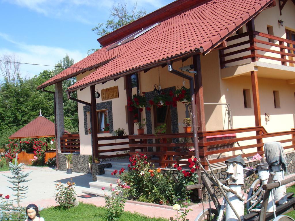 Arnota Villa Costesti  Dış mekan fotoğraf