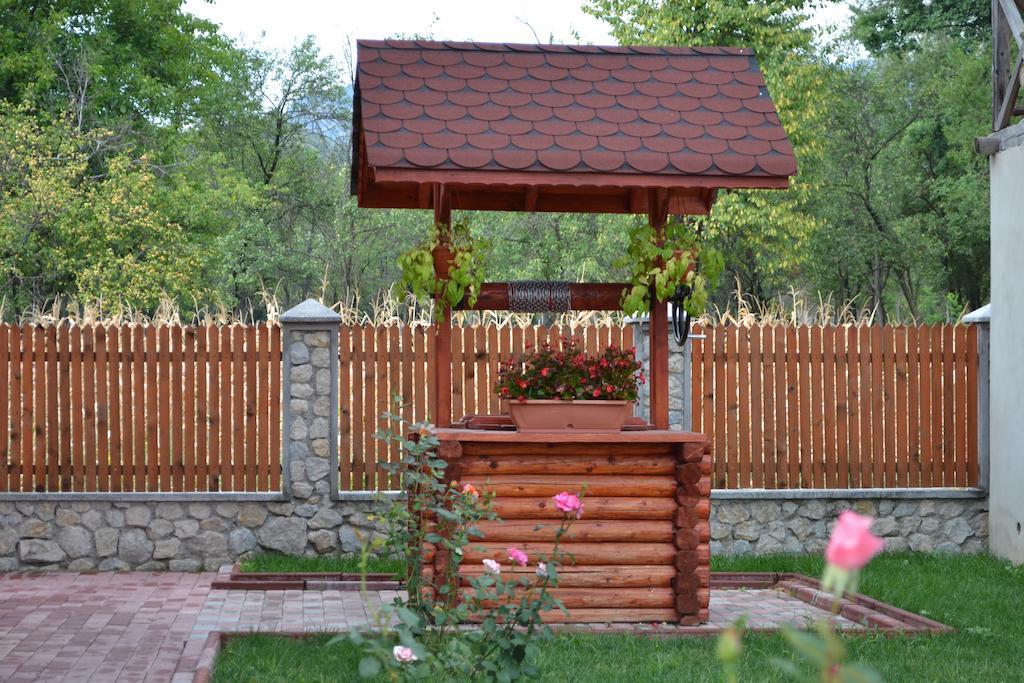 Arnota Villa Costesti  Dış mekan fotoğraf